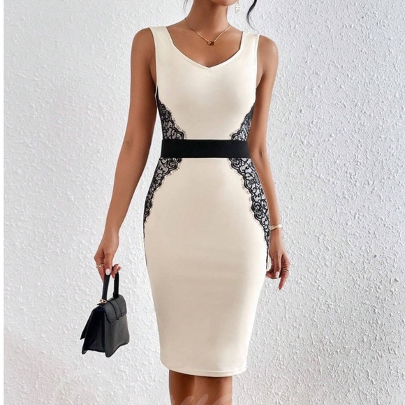 Rouge! Dresses & Skirts - Lace Detail Beige Bodycon Dress Knee Length Sleeveless